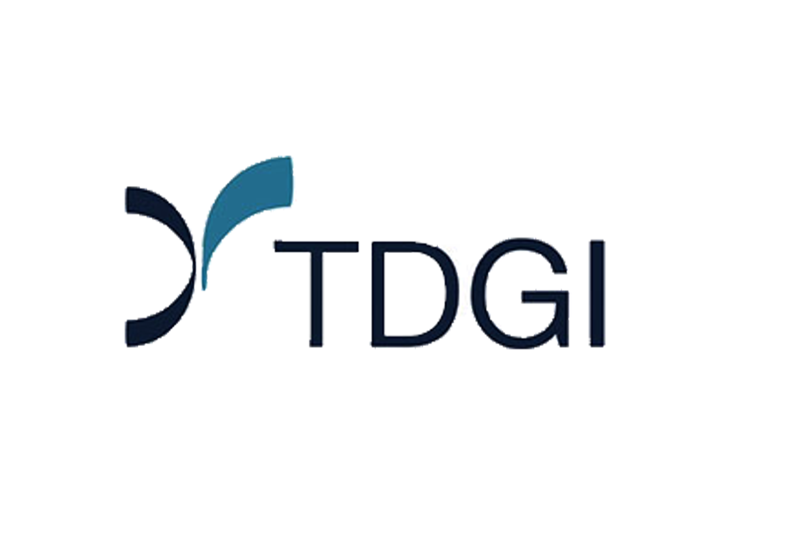 Logotipo TDGI