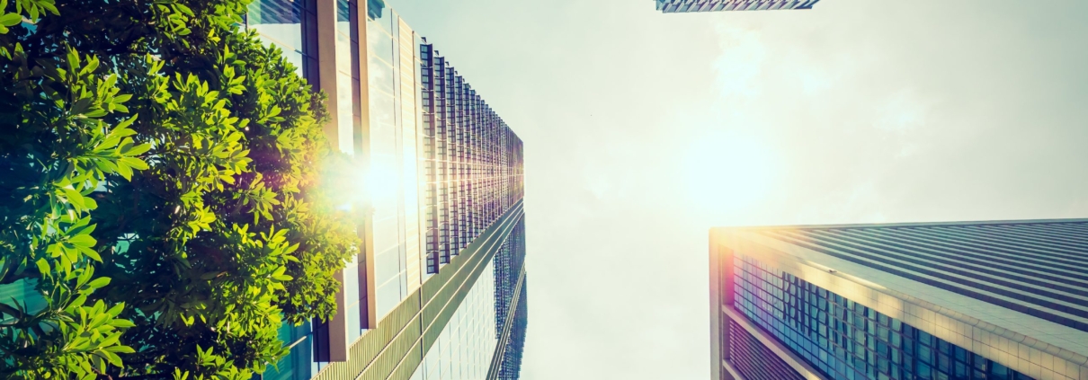 Beautiful skyscraper with architecture and building around city