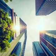 Beautiful skyscraper with architecture and building around city